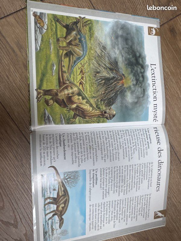 Livre DINOSAURES (image 3)