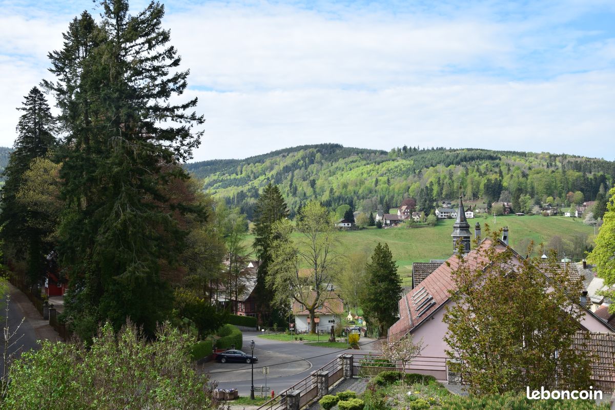 Gîte grande terrasse plein sud - animaux acceptés (image 4)
