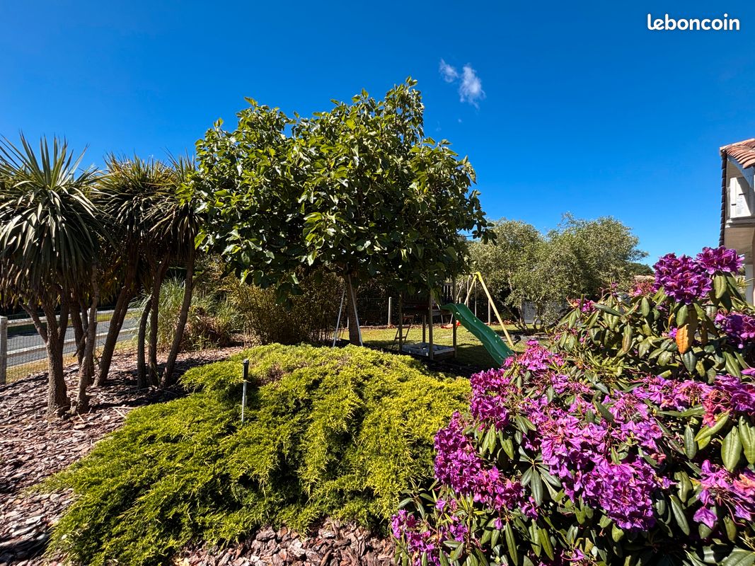 Location maison entre Bordeaux Arcachon (image 1)