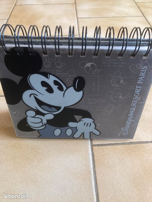 Album photo Disney à poser (image 2)
