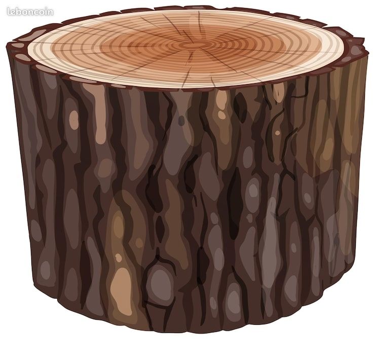 Recherche souche d'arbre (image 1)