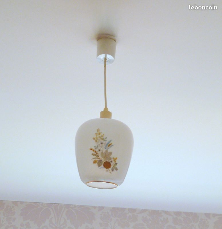 Luminaire - Suspension globe opaline avec décor fleur – Vintage (image 2)