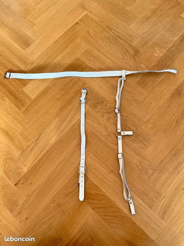 Laisse Ceinture avec Boucle - Bricolage, animaux domestiques (image 1)