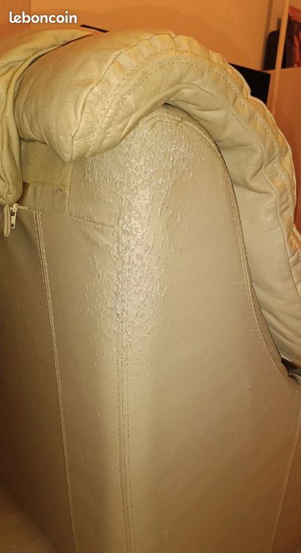 Fauteuil en cuir véritable (image 8)