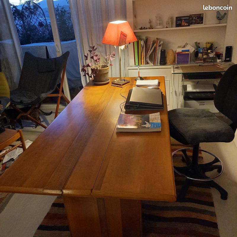 Belle table décorateur bois massif modulable (image 4)