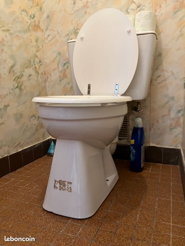 WC Porcher (image 2)