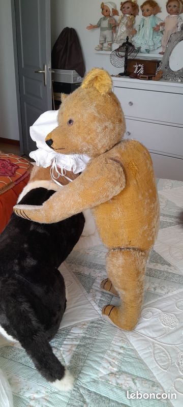 Rare et très bel ours ancien allemand Petz (image 4)