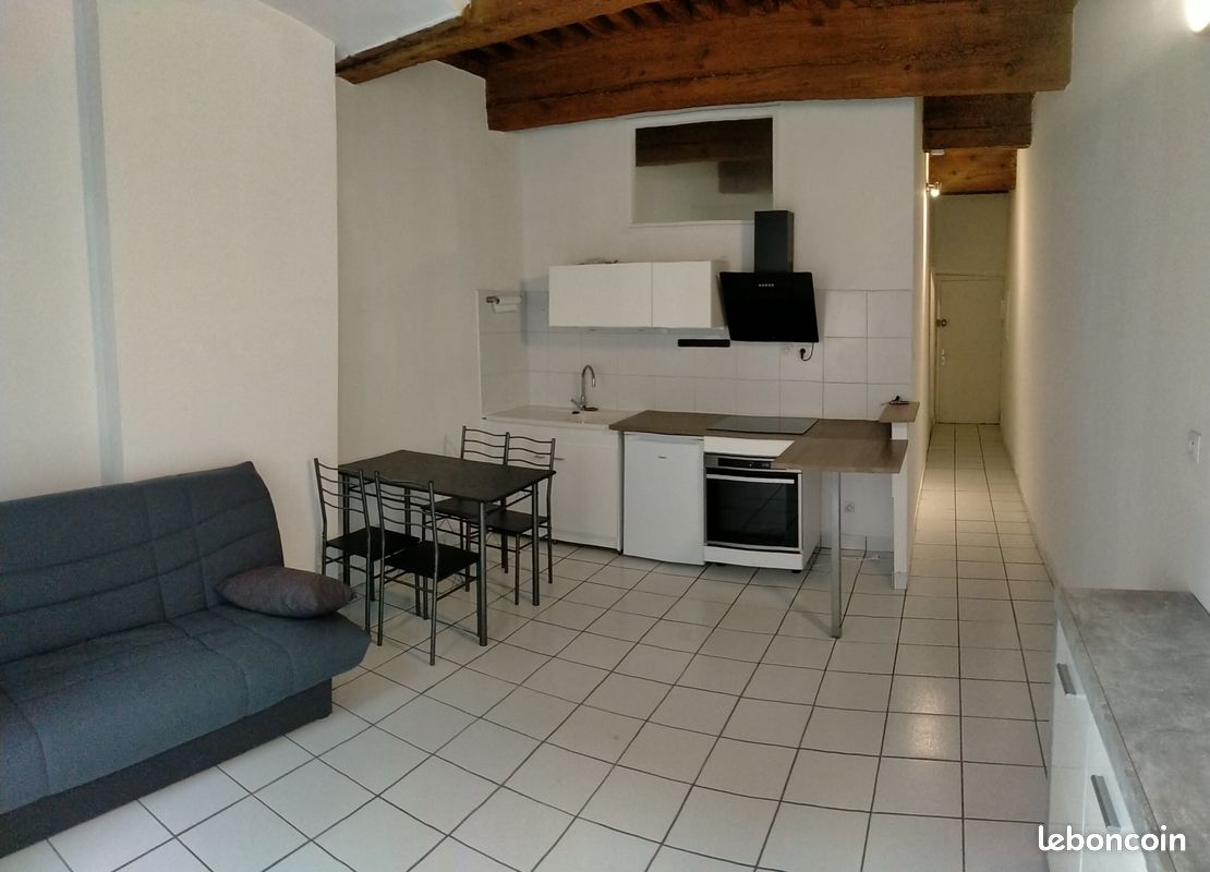Appartement Meublé Vieux Lyon 37 m² (image 3)