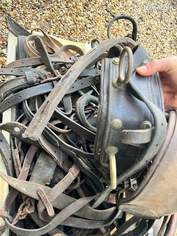 Pièces de cuir en tout genre (image 3)