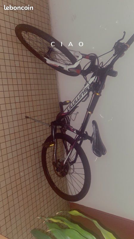 Vélo de route (image 1)