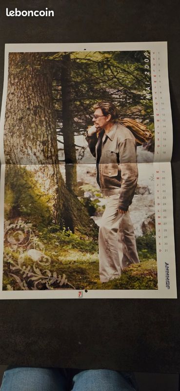 Calendrier johnny hallyday 2009 (image 4)