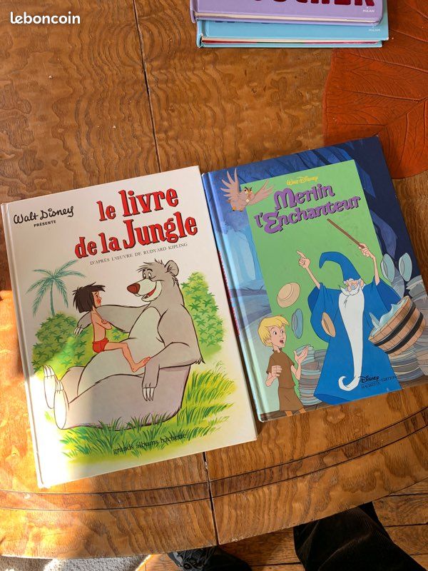 Disney le livre de la jungle et merlin l’enchanteur (image 1)