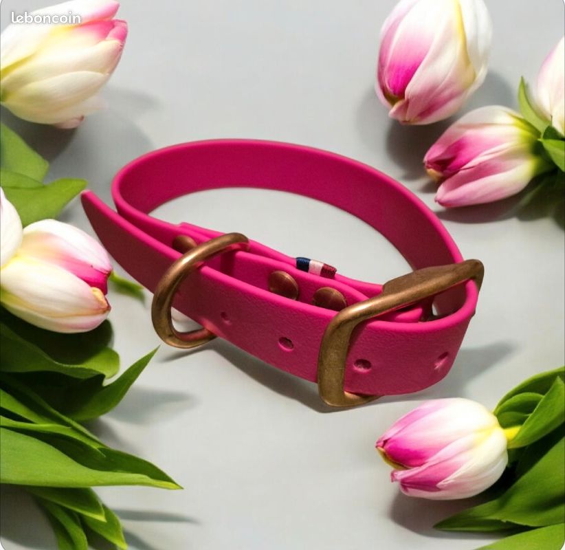 Collier M en biothane (image 1)
