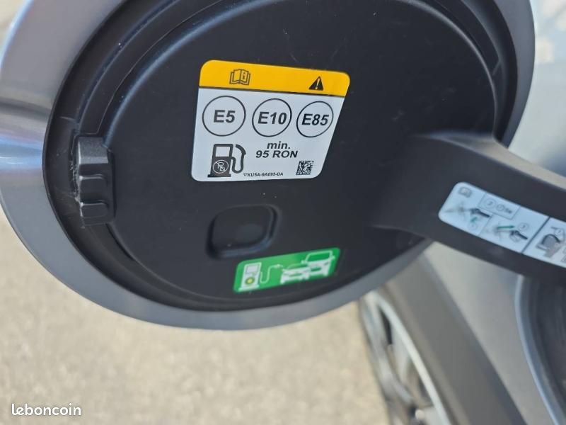 Ford Puma 1.0 Flexifuel 125ch S&S mHEV Titanium (image 22)