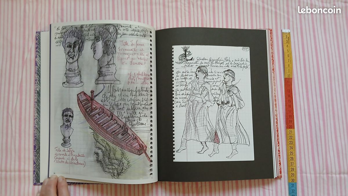 Carnet de fouilles et lab book luc long mark dion (image 4)
