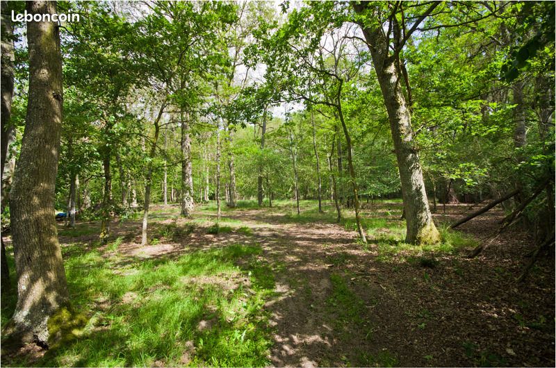 Longère 5 pièces 120 m² - Chouppes 86110 (image principale 5)