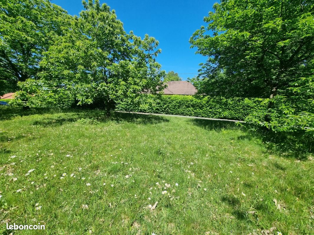 Terrain 4 020 m² Saint Yrieix La Perche (image 5)