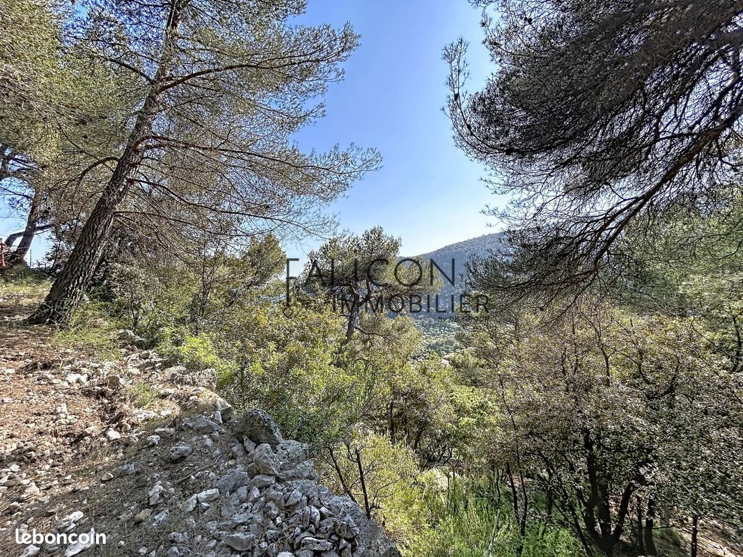 Terrain 2925 m² · à Falicon · 2 925 m² · 630 000 €