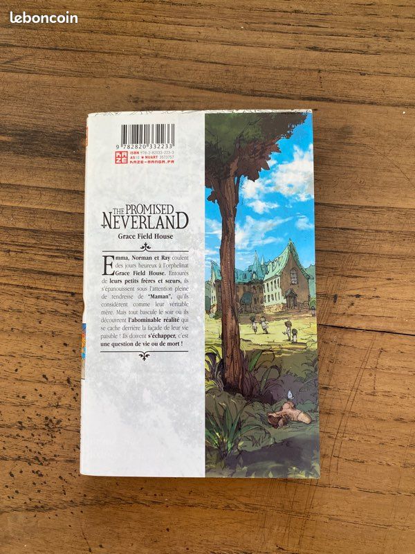The promised Neverland (image 3)