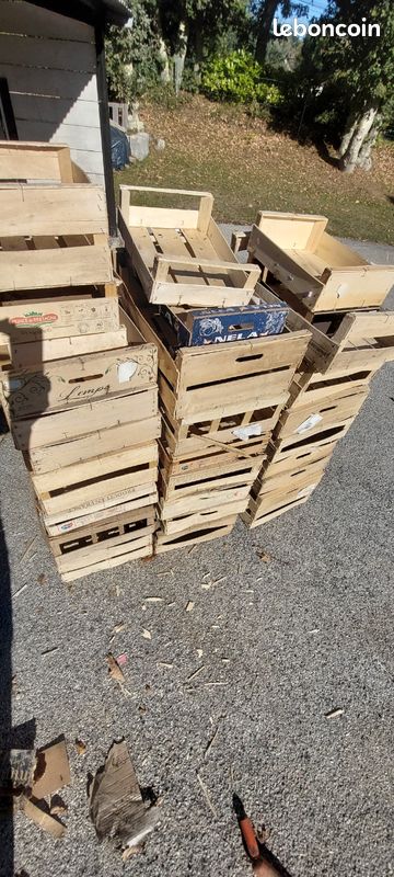 A donner 30 cagettes (image 1)