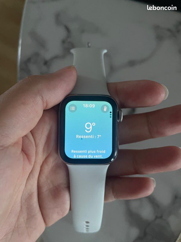 Apple Watch Série 5 Acier 40 mm (image 3)