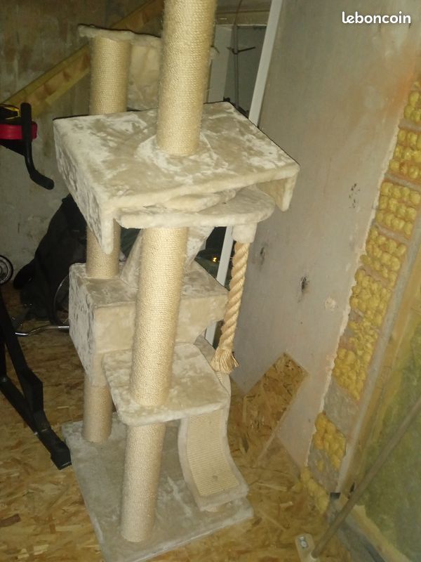 Arbre à chat xxl (image 1)