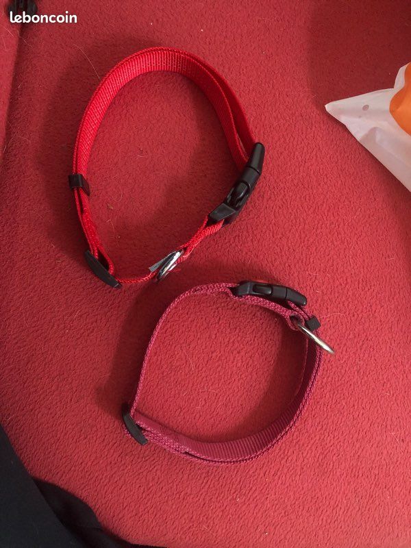Collier pour chien taille M (image 1)