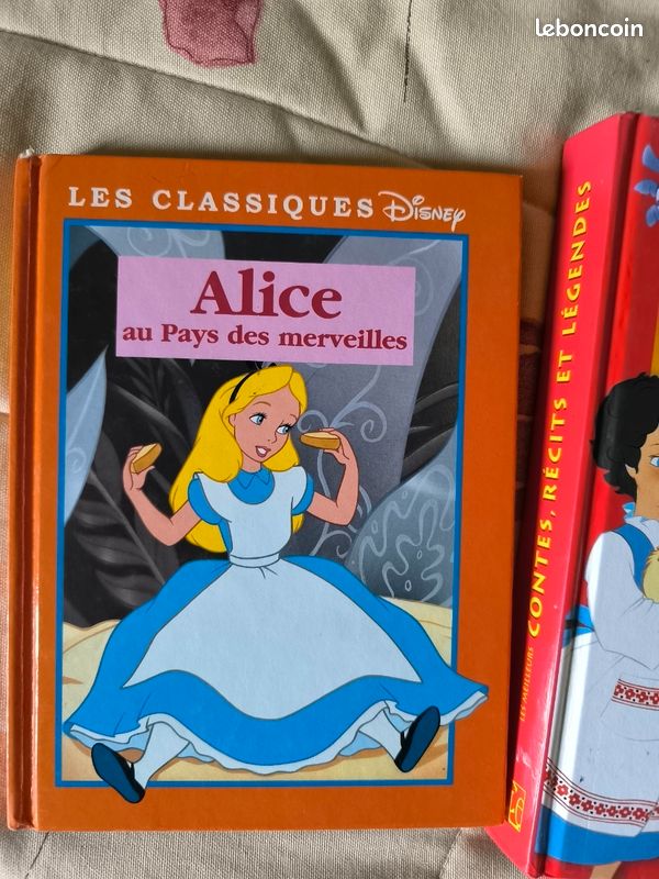 Lot de 2 livres enfants (image 1)