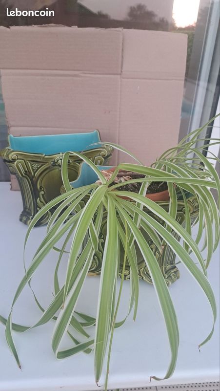 Rare paire de cache-pots Sarreguemines Art nouveau en barbotine – modèle 331 (image 18)