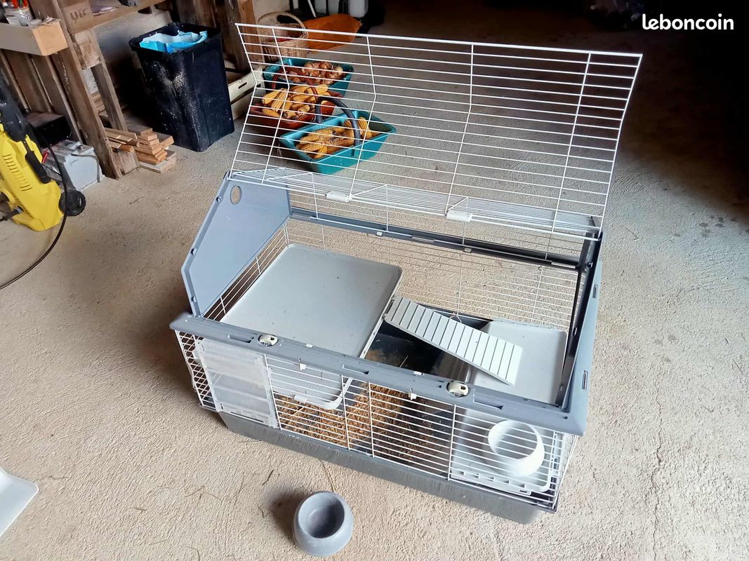 Cage à lapin (image 1)
