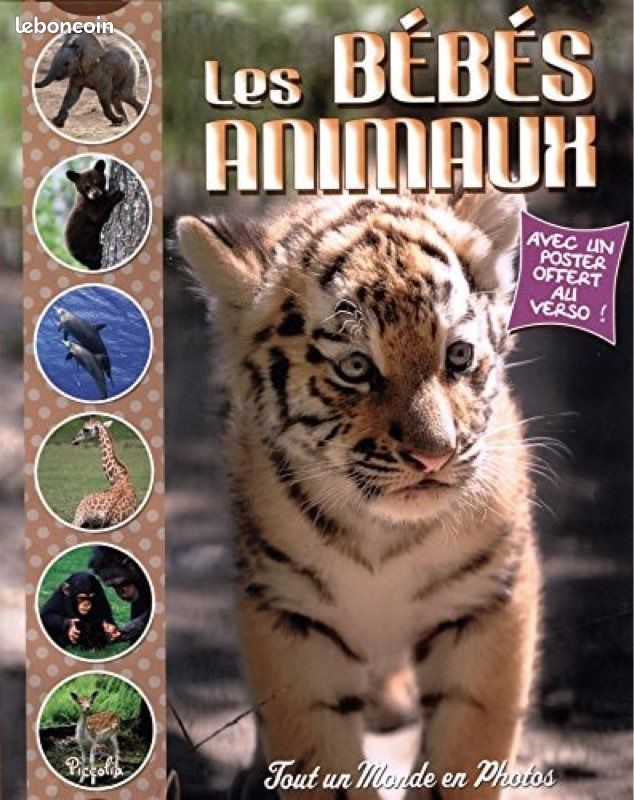 Les bébés animaux (image 1)