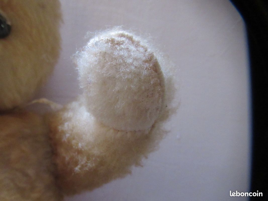 Ancien ours en peluche (image 3)