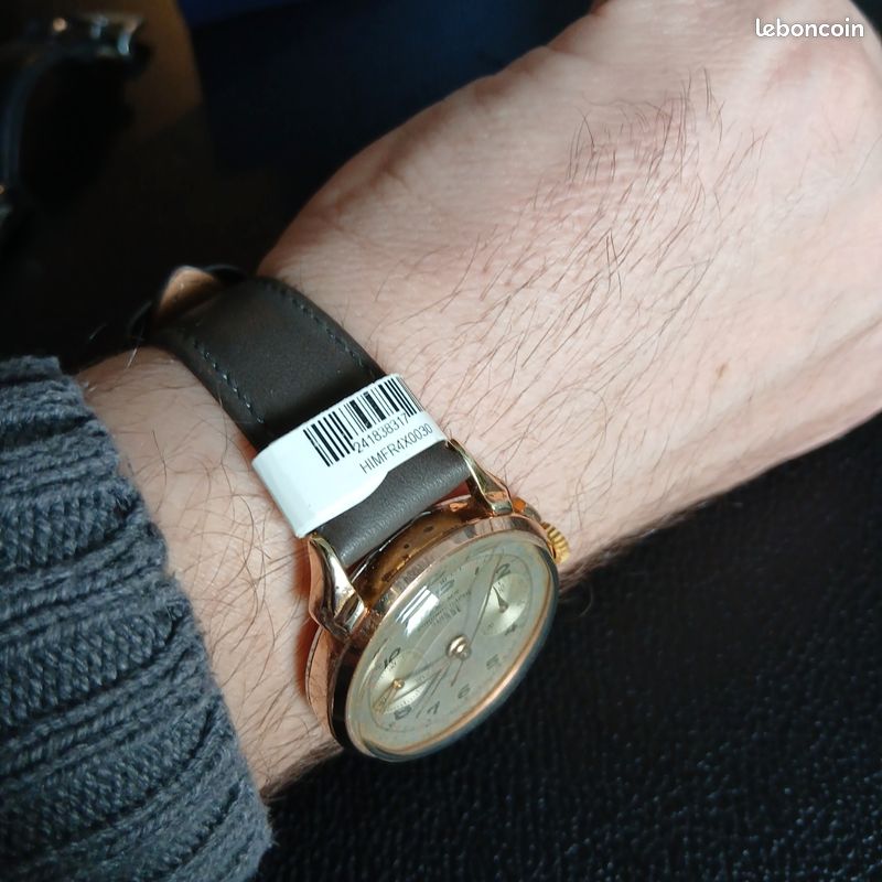 Montre zelus rubis suisse révision ok (image 4)