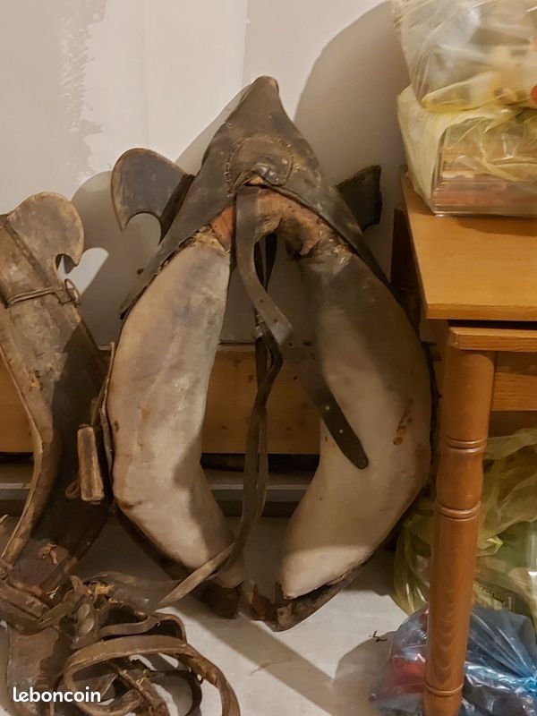 Collier joue de cheval (image 2)