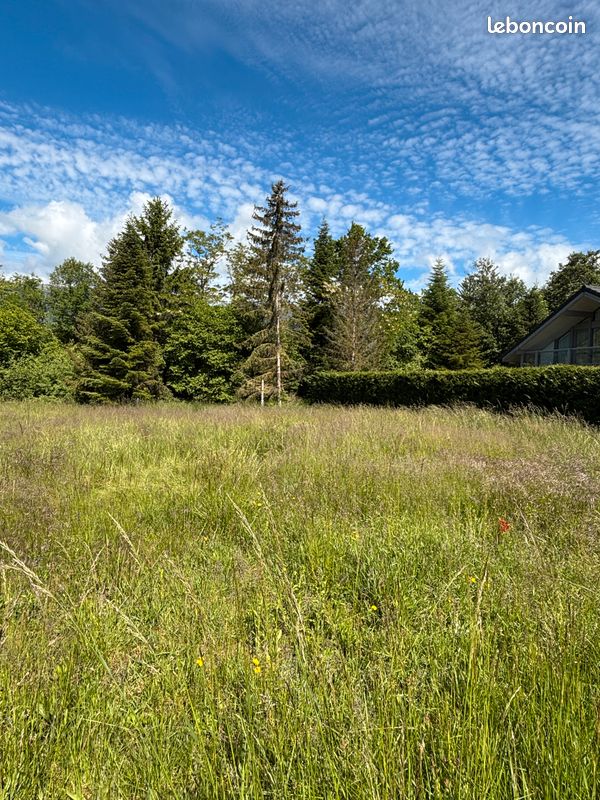Terrain constructible et viabilisé à PREGNIN (ST GENIS-POUILLY) · à Saint-Genis-Pouilly · 299 000 €