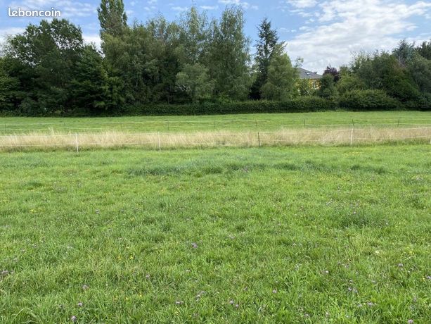 Terrain 3 320 m² Bavilliers