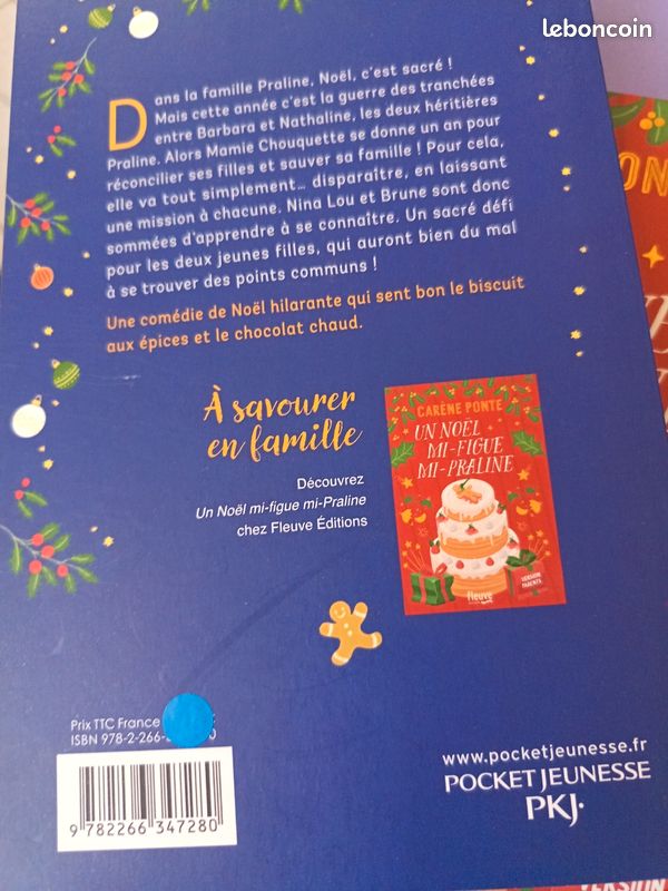 Livre version ado (image 2)