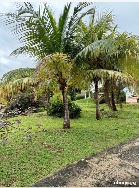 Location courte ou longue durée en Guyane (image 9)