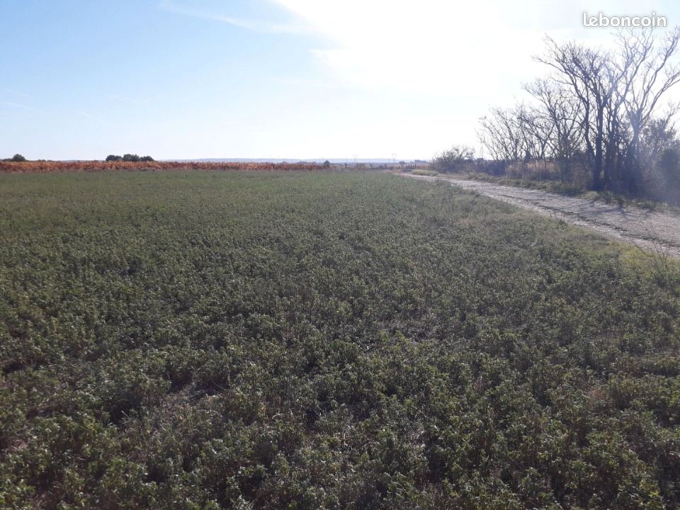 Terrain 500 m² Rieux Minervois · à Rieux-Minervois · 59 900 €