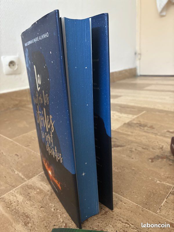 La nuit ou les étoiles se sont éteintes - Livre Nina Gorman et Marie Alhinho (image 2)