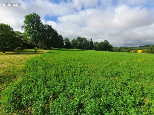 Terrain 640 m² Cadalen