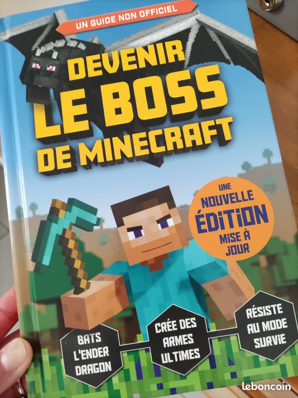 Minecraft "Devenir le boss" (image 1)