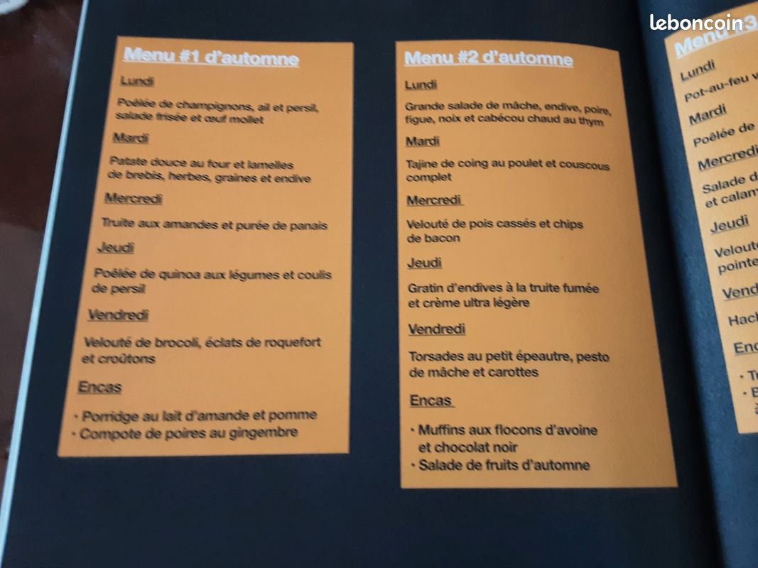 SPECIAL RÉÉQUILIBRAGE ALIMENTAIRE VALIDE PAR UNE NUTRITIONNISTE 2 H de CUISINE POUR TOUTE LA SEMAINE VENDU 8e50 ACHETE 24E 95 EN PARFAIT ETAT (image 15)