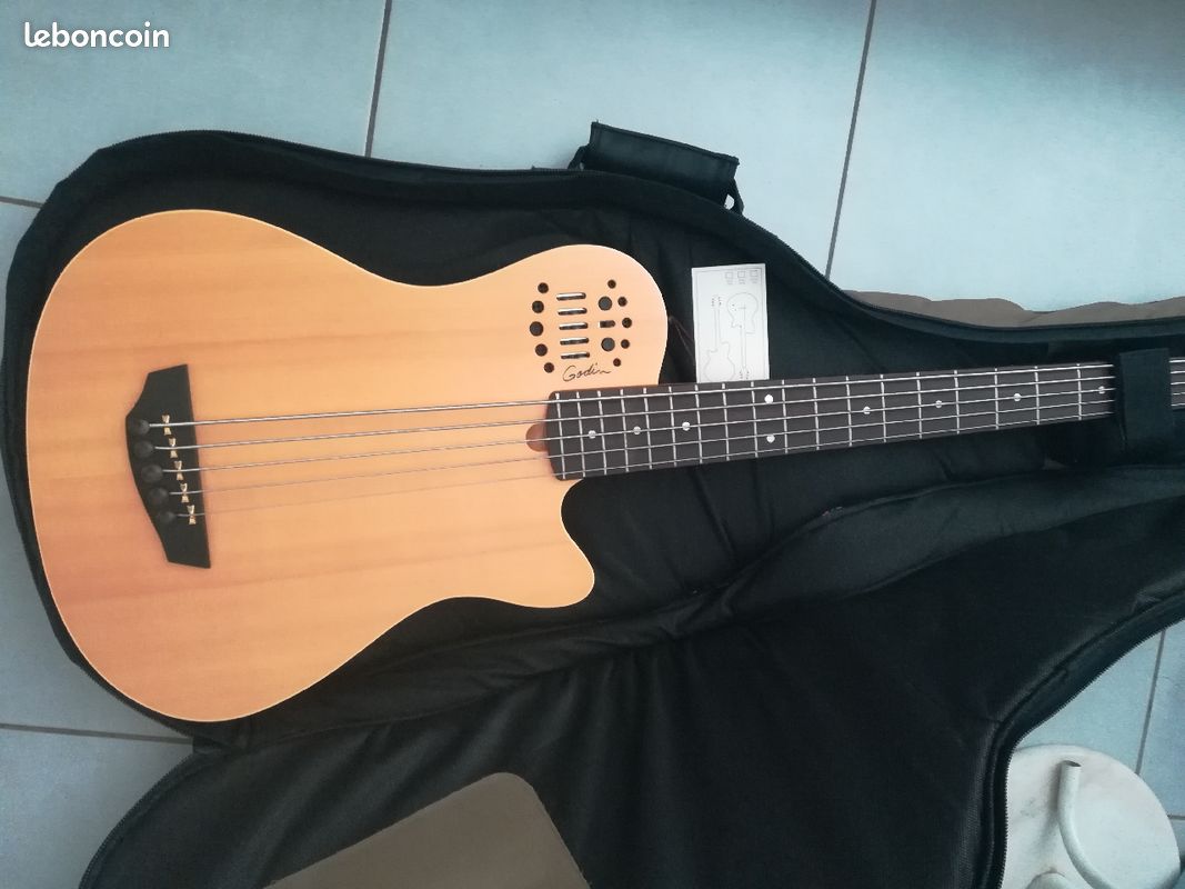 Guitare basse godin (image 1)