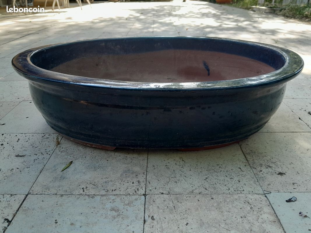 Grand vase pour bonzaï (image 1)