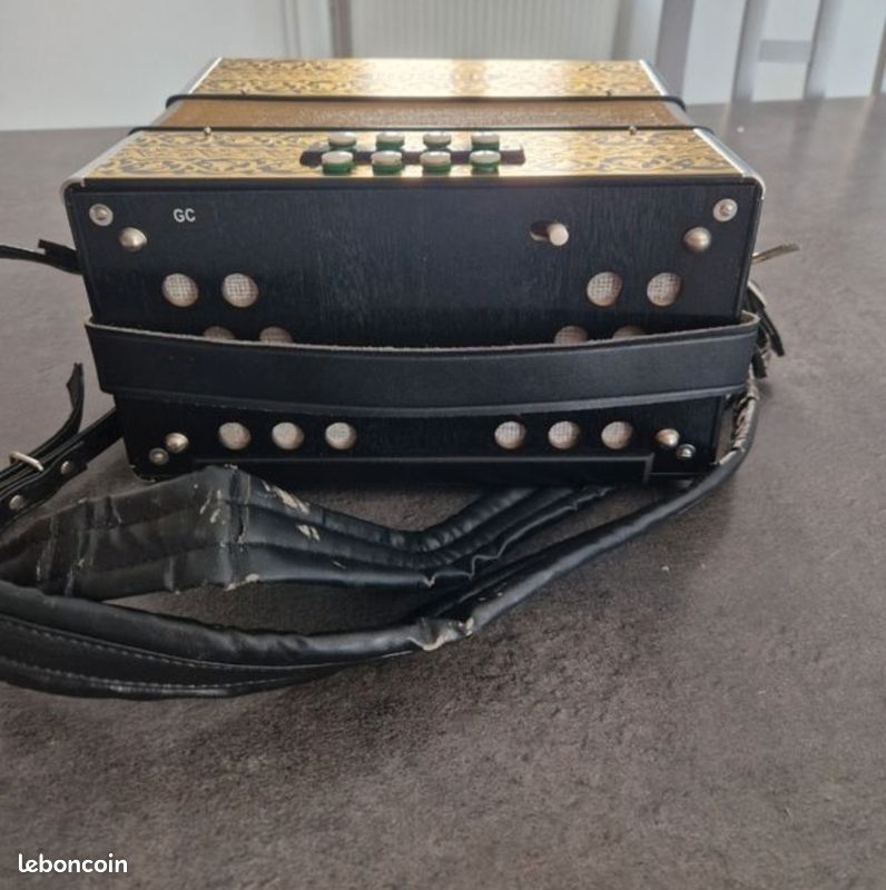 Accordéon diatonique (image 6)