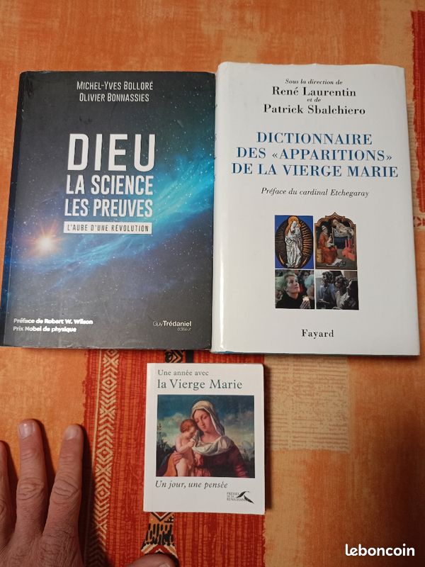 Dieu

La science Les preuves

Michel-Yves Bolloré, Olivier Bonnassies

Guy Trédaniel - 13 octobre 2021

Broché, 577 pages

ISBN : 9782813225856

Prix éditeur : 24,00 (image 1)