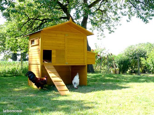 Poulailler jardin 10 à 12 poules sur pilotis pratique et accessible des deux cotés XXL qualite (image 1)