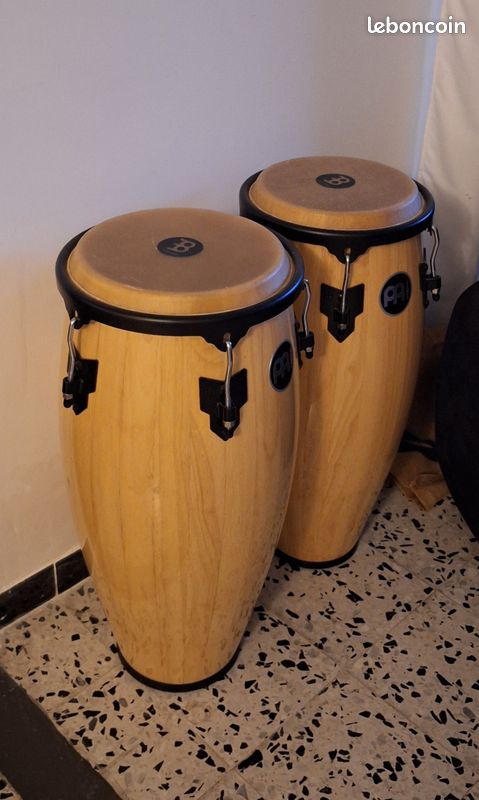 Conga (image 2)
