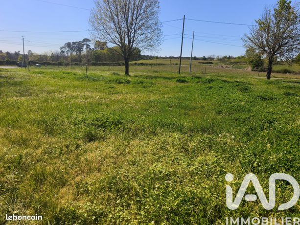 Terrain 1237 m² Neuvicq